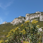 Falesia Wild Cadapria
