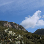 falesia Wild Cadapria